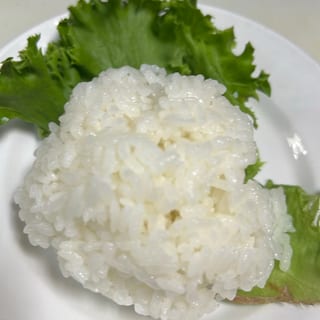 --Side Sushi Rice--